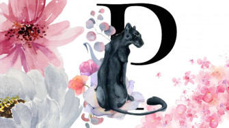 Letter P Wallpaper
