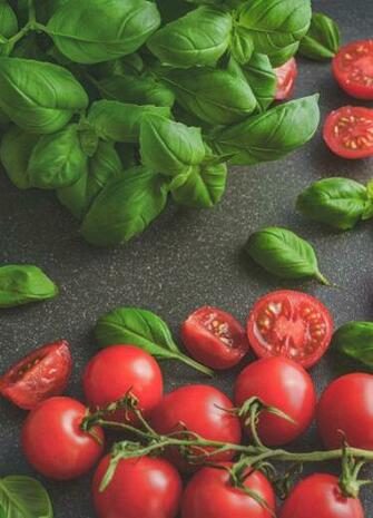 4k Wallpaper Basil Close Up Personal Training Canterbury