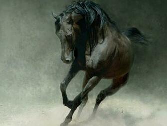 Wild Horse HD Wallpaper Android Computer Best