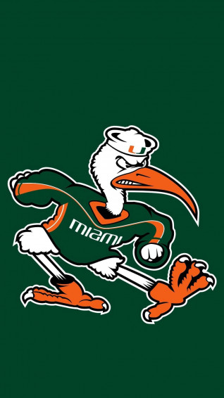 Miami Hurricanes Wallpaper