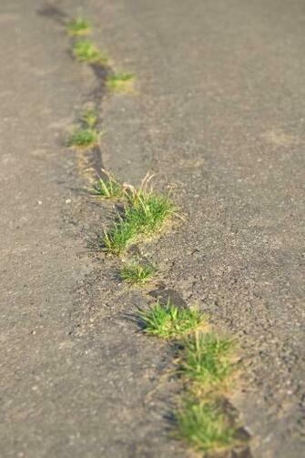 State Road Defect Hole Pothole The Way Forward