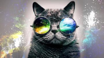 Galaxy Cat Wallpaper Group
