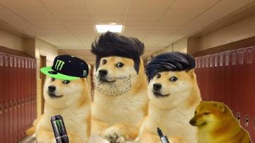 Cheems Meme Wallpaper Backiee