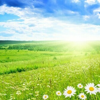 iPad Wallpaper Spring