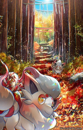 D A On Zorua Pokemon Wallpaper