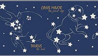 Constellations Wall Border Night Sky Stars Wallpaper Roll