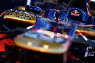 Toro Rosso Wallpaper