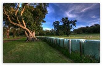 At The Park HD Wallpaper For Standard Fullscreen Uxga Xga Svga