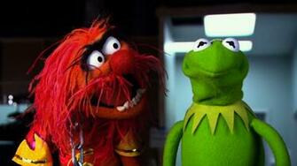 Animal Kermit Muppets Most Wanted Wallpaper Jpg