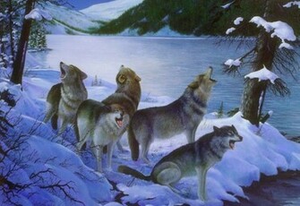 Wolf Pack Wallpaper