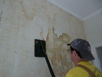 Layer Of Painted Over Wallpaper Underneath The Vinyl