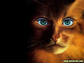 HD Animal Wallpaper Cool