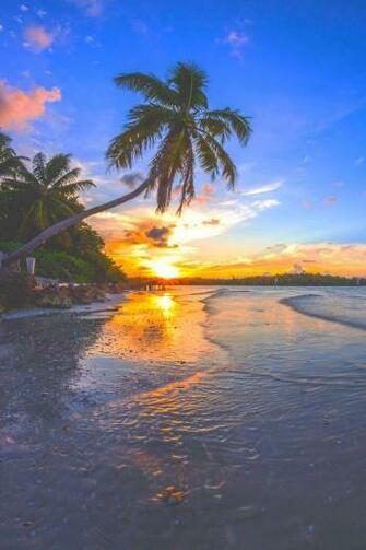 Summer Sun Sunrise Sunset Trees Usa Wallpaper Water