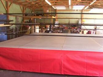Wrestling Ring Graphics Code Comments Pictures