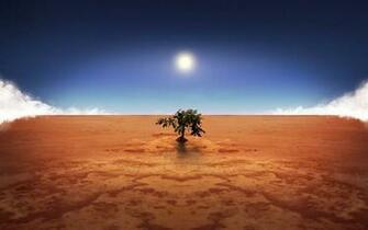 Tree Of Life The Sands Wild Wallpaper Desktop Background Scenery