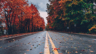 Fall Empty Road Wallpaper