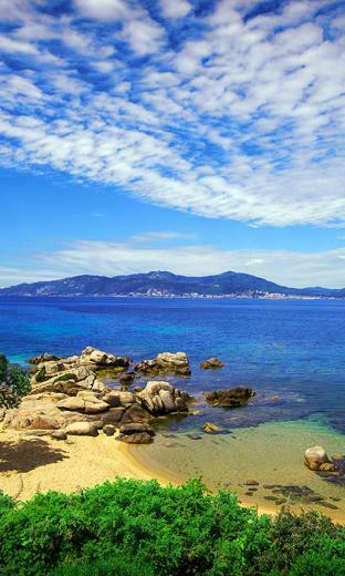 Thought Provoking Summer Wallpaper For Windows Phone