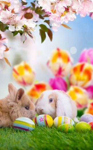 G199odc Easter Phone Wallpaper Px Cover