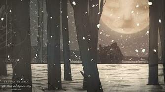 S Steven Wilson