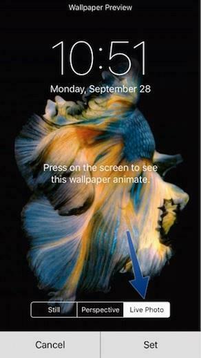 Create Live Wallpaper For iPhone 6s iPhonetricks Org