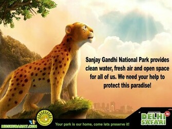 Delhi Safari Desktop Wallpaper Movies