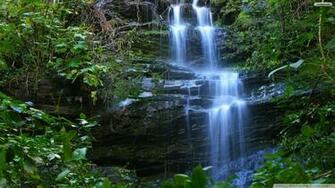 Youwall Beauty Forest Waterfall Wallpaper