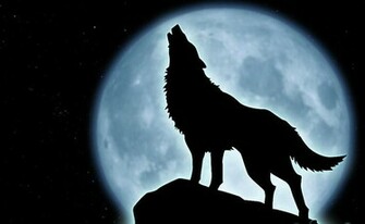 Wolf Howling At The Moon By Hmmmm1797
