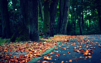 Cycle HD Background Wallpaper Photography Desktop