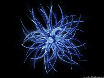 Desktop Wallpaper 3d Background Zing Blue