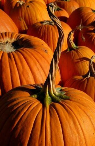 Fall Background