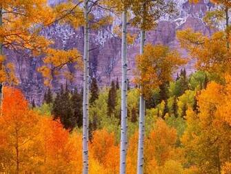 Aspen Colorado Wallpaper