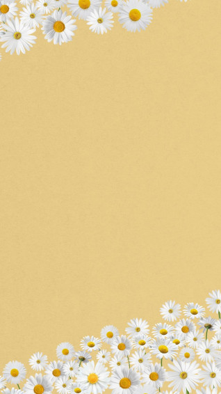 Daisy Aesthetic Wallpaper Off