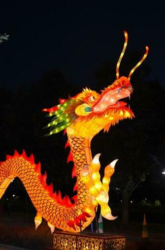 Image Gallery Dragon Pics Real Cartoons Wallpaper