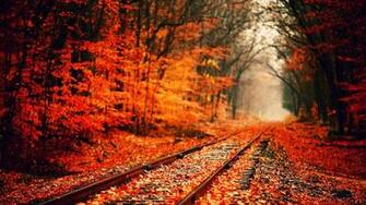 Fall Thanksgiving Wallpaper