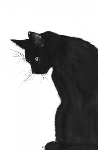 Amazing Making Stencils Ideas Drawings Silhouette