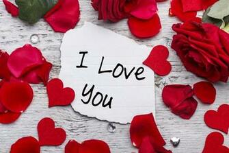 Image Valentine S Day I Love You Red Roses Petals Flowers