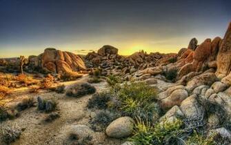 Joshua Tree National Park Wallpaper Wallpaperin4k Net