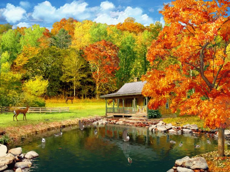 Free download Download Four Seasons Screensaver Four Seasons ...