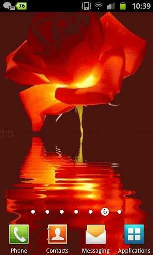 Animated Rose Live Wallpaper App For Android