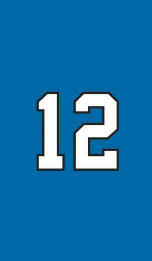 Super Bowl Champions