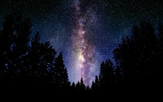 Wallpaper Milky Way Sky Night Stars Tree Forest Desktop
