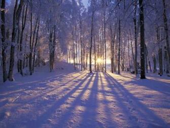 Winter Scenes Desktop Background