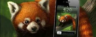 iPhone Red Panda Wallpaper Elisemartinson Com