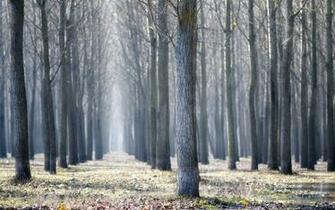 National Geographic April Daily Photos Magazine