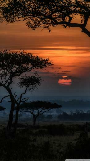 Africa Wallpaper Px O3cvi3c Picserio