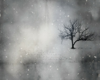Winter Tree Wallpaper By Olde Fashioned