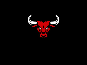 Chicago Bulls Logo Wallpaper HD Net