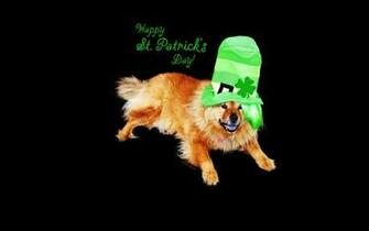 Im St Patrick S Day Cat Wallpaper Px Picserio