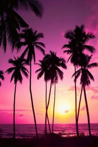 Trending Wallpaper Image In Collection