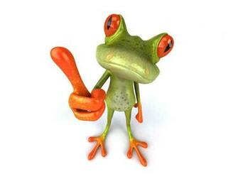 Funny Frog Wallpaper Desktop Background Quotes